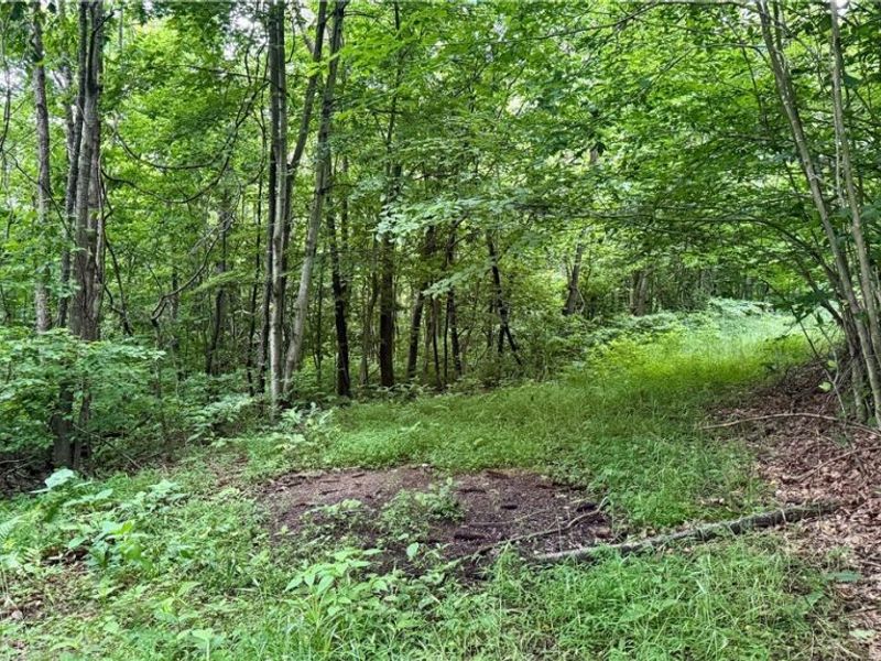 Marlott Run Road, Newcomerstown, OH 43983 Photo 16