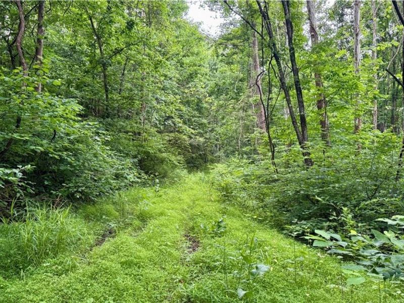 Marlott Run Road, Newcomerstown, OH 43983 Photo 18