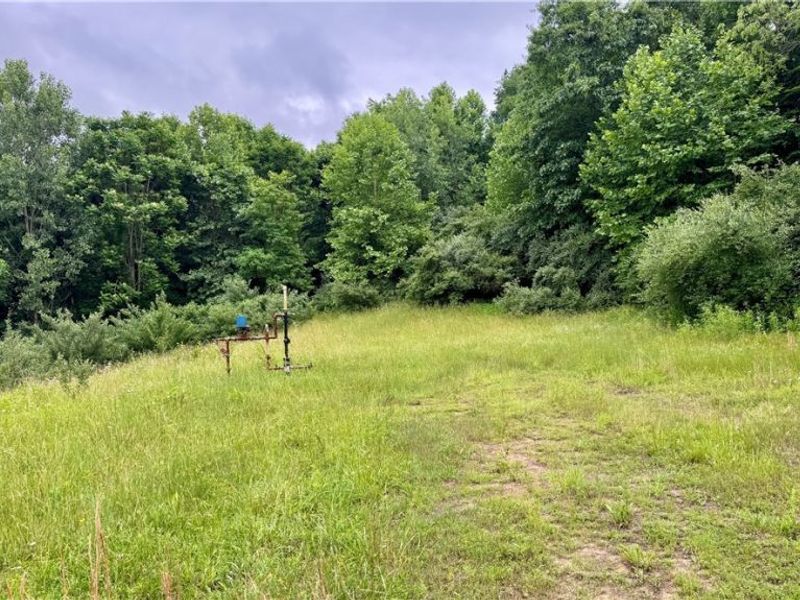 Marlott Run Road, Newcomerstown, OH 43983 Photo 19