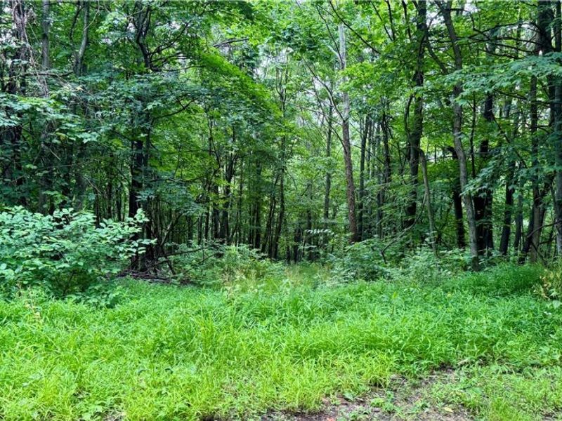 Marlott Run Road, Newcomerstown, OH 43983 Photo 2
