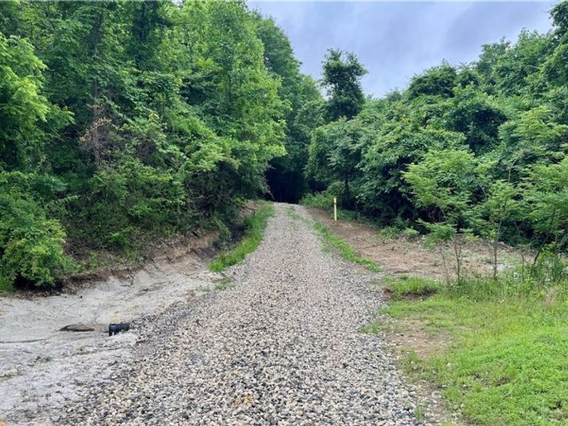 Marlott Run Road, Newcomerstown, OH 43983 Photo 20