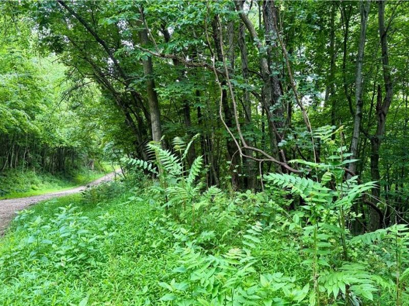 Marlott Run Road, Newcomerstown, OH 43983 Photo 29