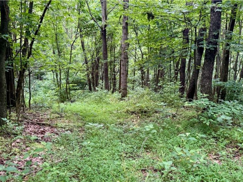 Marlott Run Road, Newcomerstown, OH 43983 Photo 30