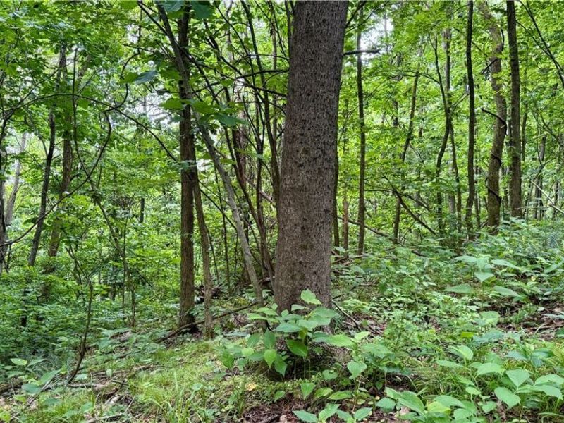 Marlott Run Road, Newcomerstown, OH 43983 Photo 31