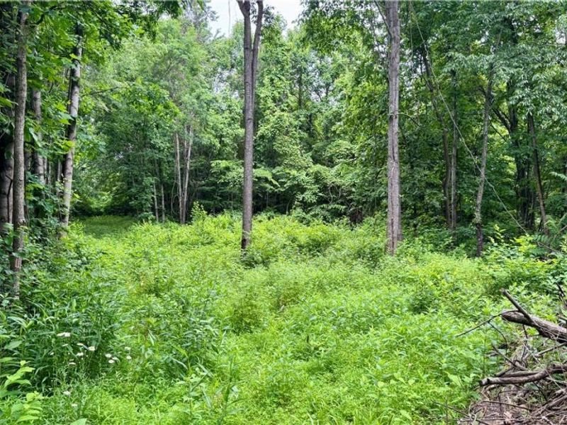 Marlott Run Road, Newcomerstown, OH 43983 Photo 33