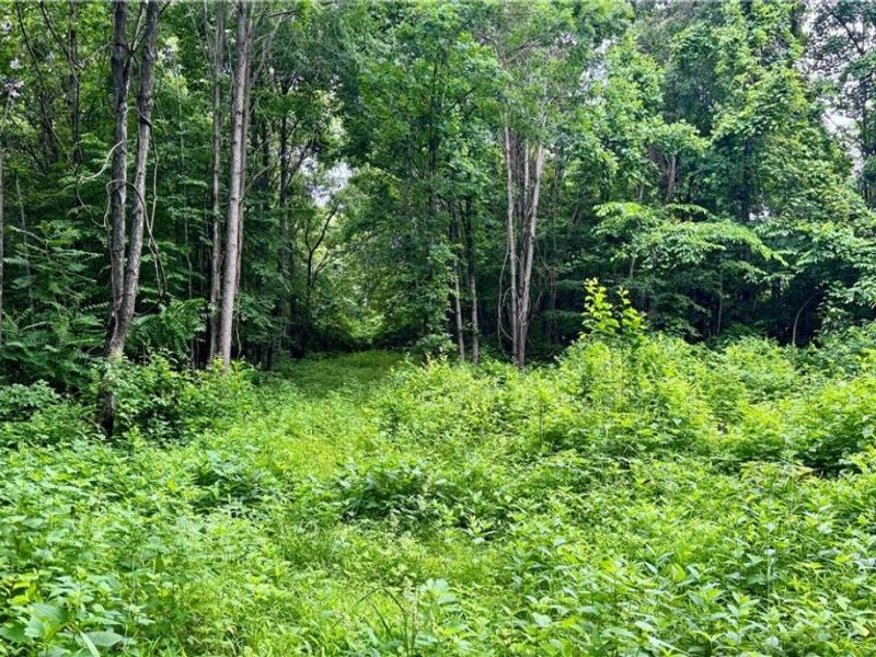 Marlott Run Road, Newcomerstown, OH 43983 Photo 34
