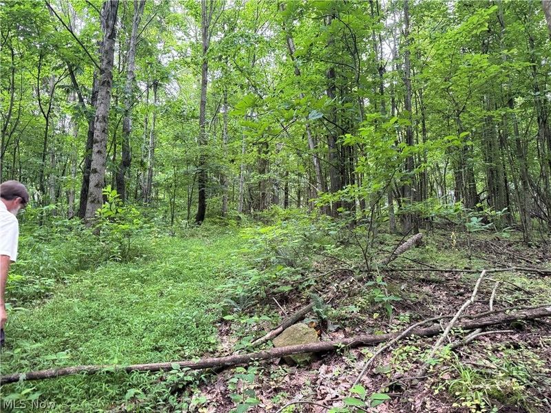 Marlott Run Road, Newcomerstown, OH 43983 Photo 35