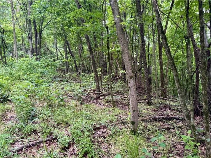Marlott Run Road, Newcomerstown, OH 43983 Photo 36