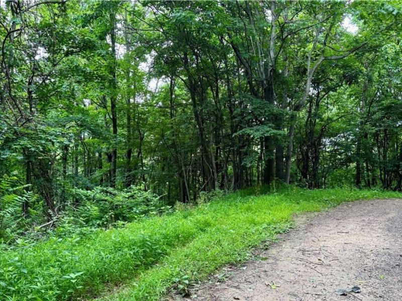 Marlott Run Road, Newcomerstown, OH 43983 Photo 37