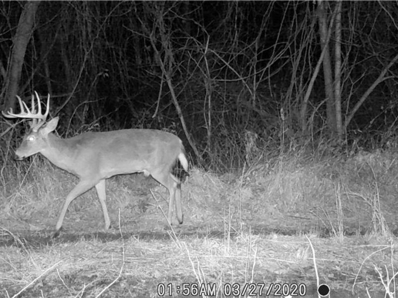 Marlott Run Road, Newcomerstown, OH 43983 Photo 38