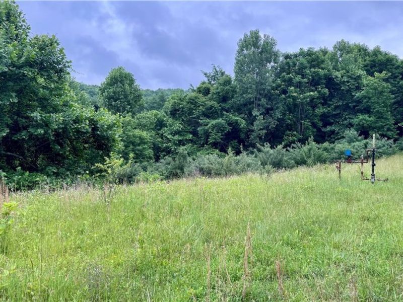 Marlott Run Road, Newcomerstown, OH 43983 Photo 4