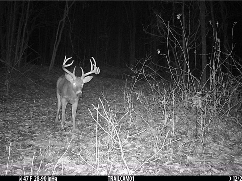 Marlott Run Road, Newcomerstown, OH 43983 Photo 47