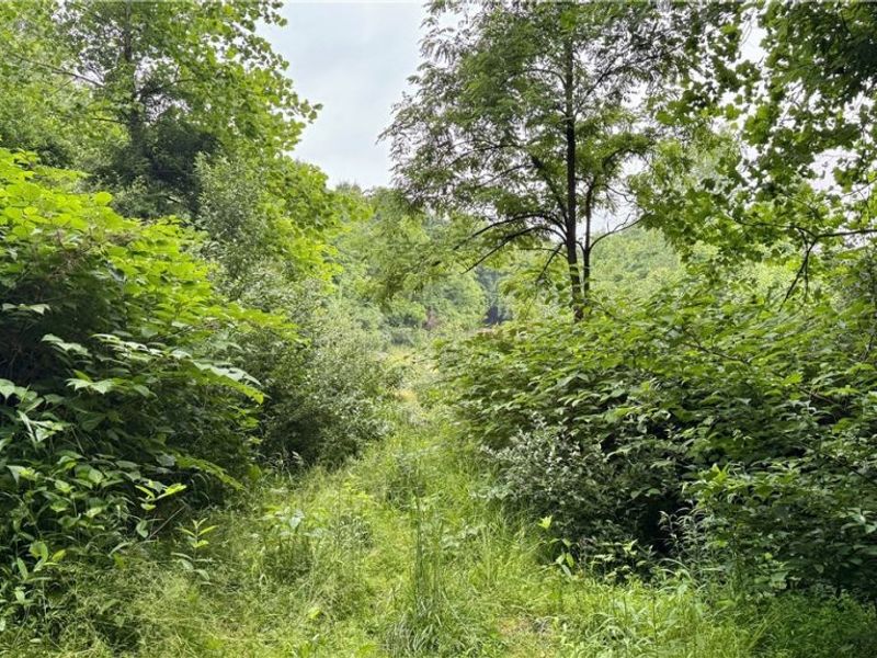 Marlott Run Road, Newcomerstown, OH 43983 Photo 6