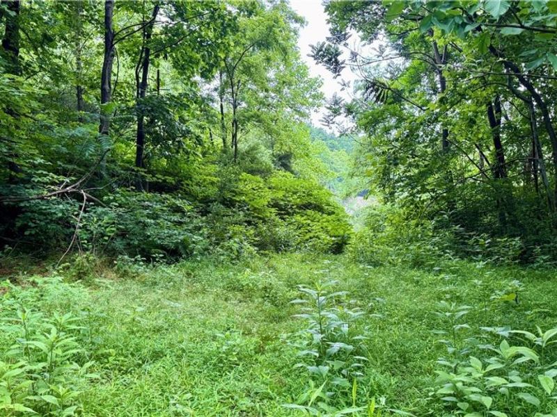 Marlott Run Road, Newcomerstown, OH 43983 Photo 7