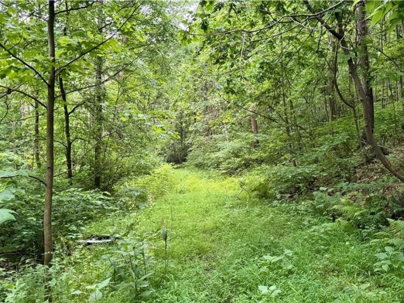 Marlott Run Road, Newcomerstown, OH 43983 Photo 8