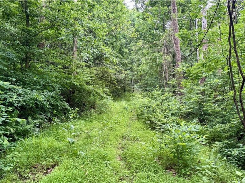 Marlott Run Road, Newcomerstown, OH 43983 Photo 9