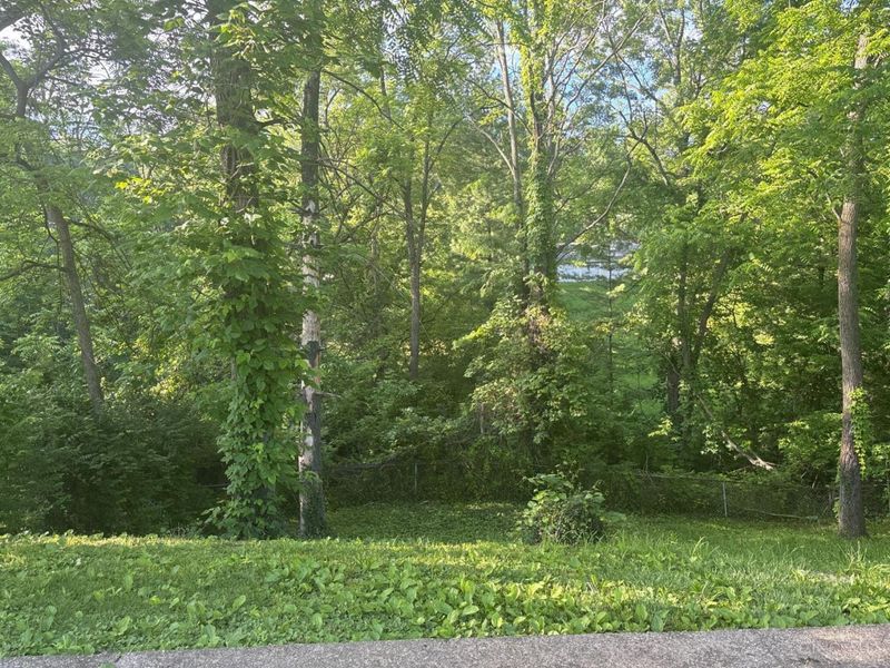 2806 Niagara Street, Cincinnati, OH 45251 Photo 9