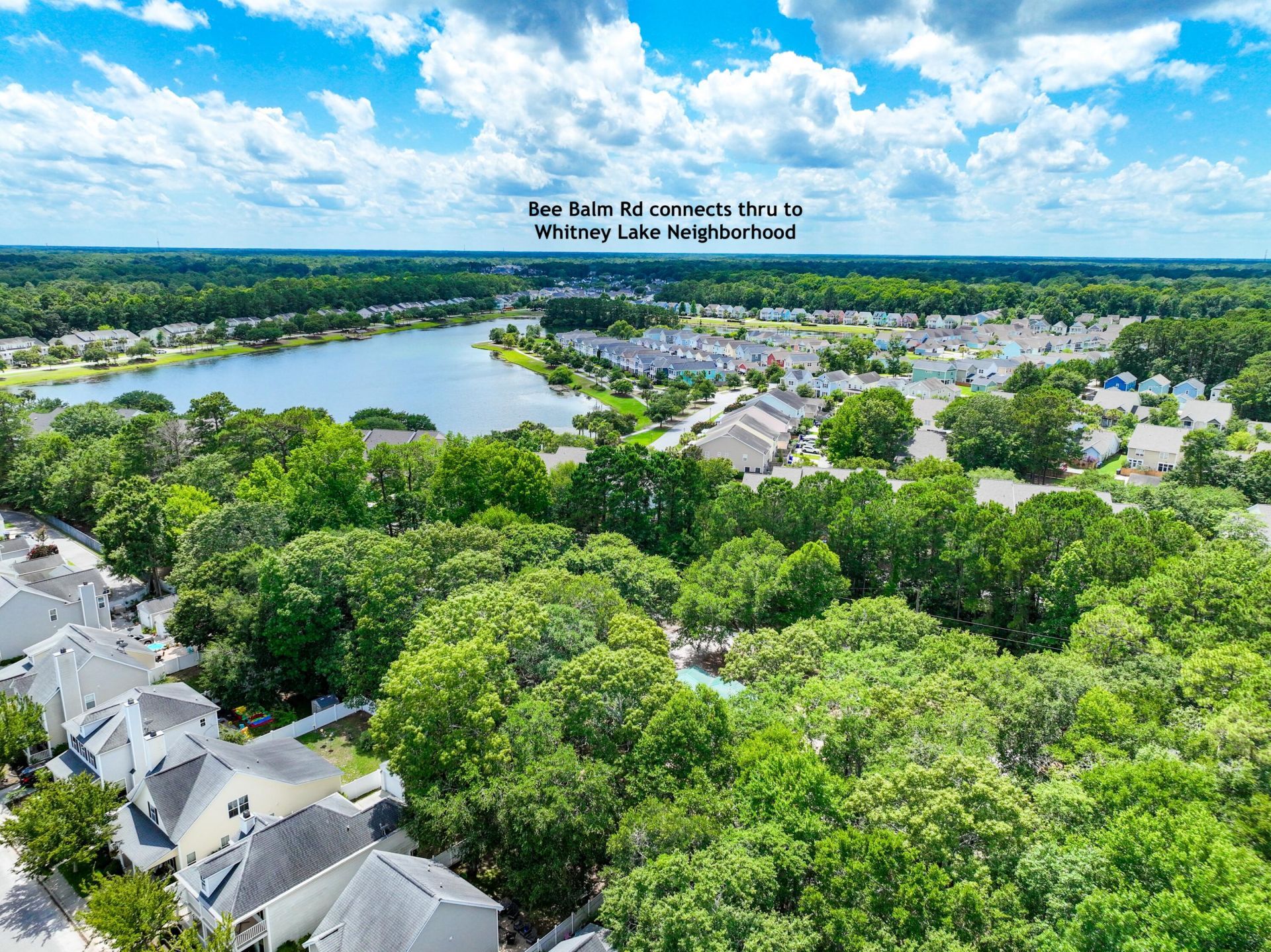 1726 Bee Balm Road Photo 34