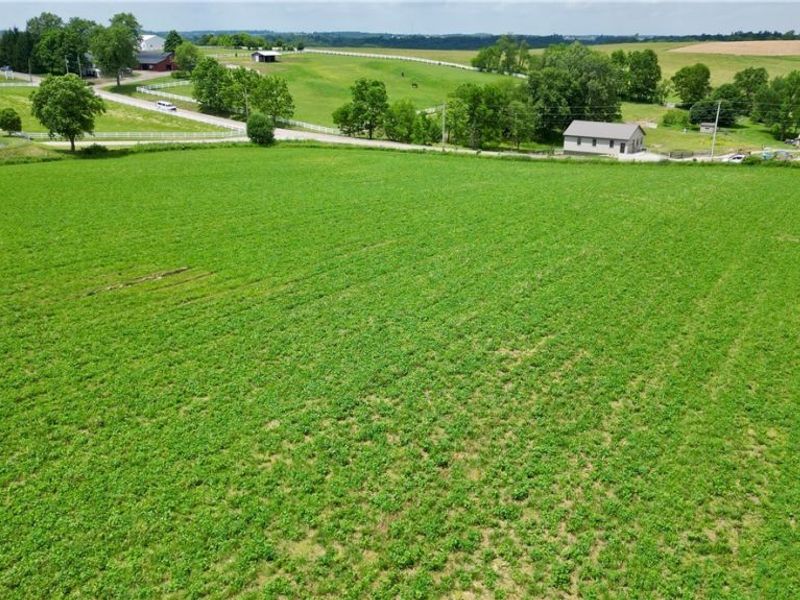Peabody Kent Road, Millersburg, OH 44654 Photo 4
