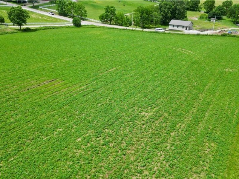 Peabody Kent Road, Millersburg, OH 44654 Photo 5