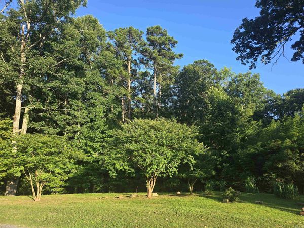 877A Makaha Point , Hot Springs, AR 71913