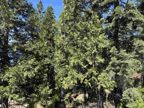739 Lassen View Drive, Lake Almanor, CA 96137