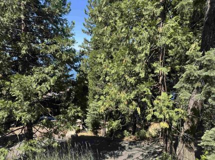 739 Lassen View Drive, Lake Almanor, CA 96137 Photo