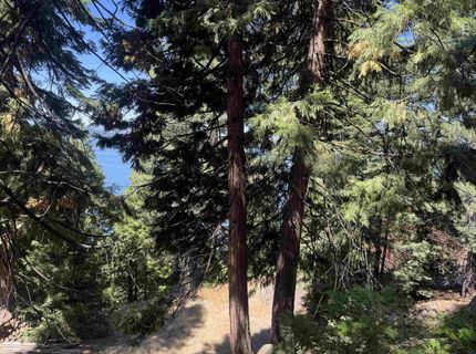 739 Lassen View Drive, Lake Almanor, CA 96137 Photo