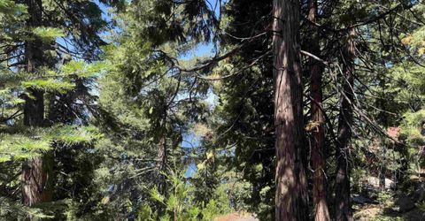 739 Lassen View Drive, Lake Almanor, CA 96137 Photo