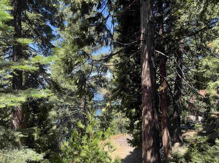 739 Lassen View Drive, Lake Almanor, CA 96137 Photo
