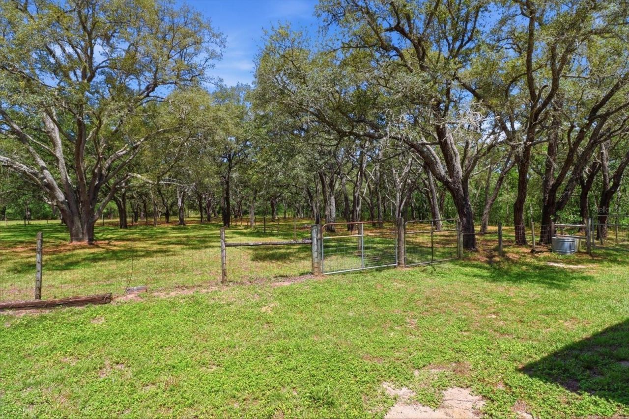 7298 S Rama Avenue , Lecanto, FL 34461 Photo