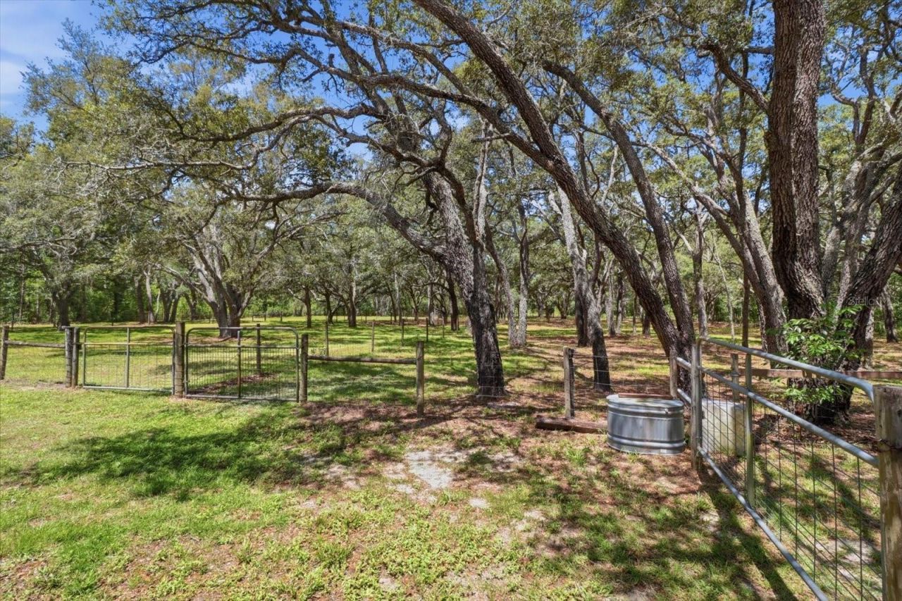 7298 S Rama Avenue , Lecanto, FL 34461 Photo