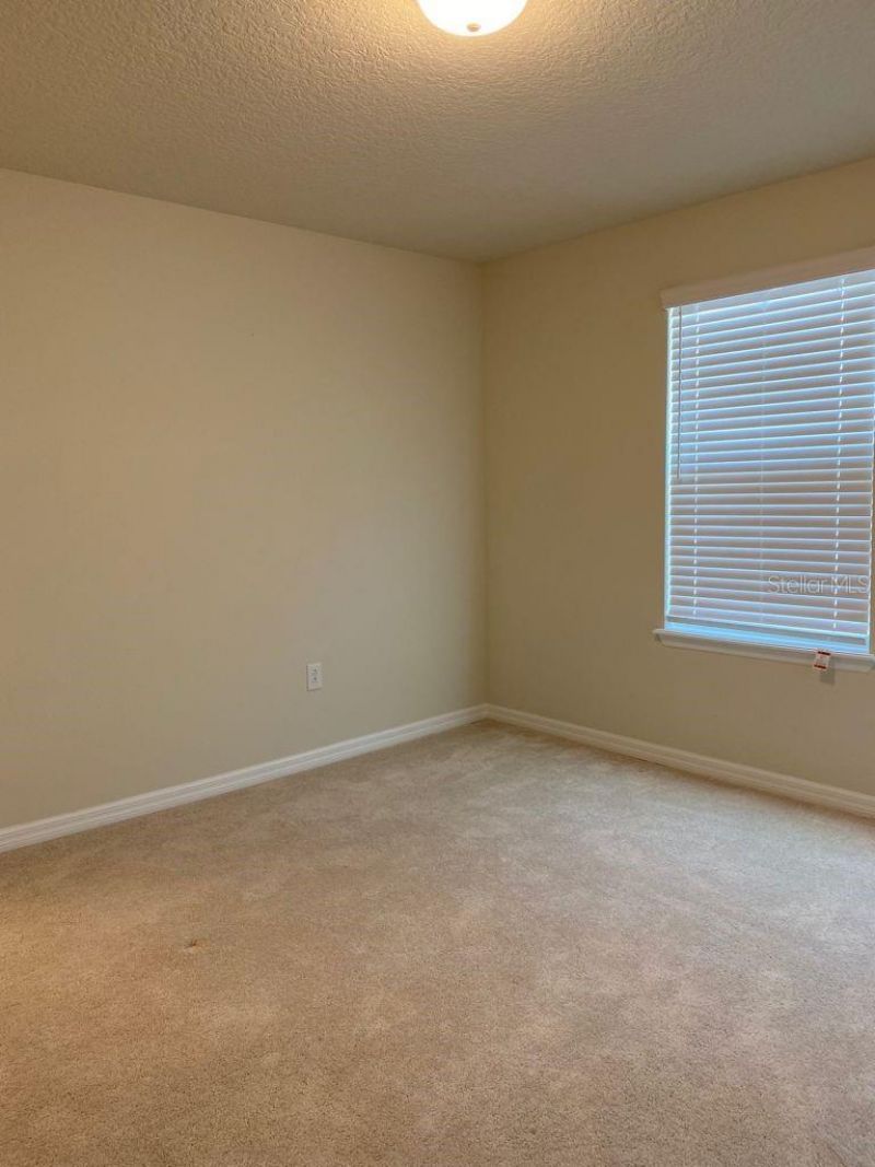 2101 Gopher Tortoise Terrace , Oakland, FL 34787 Photo