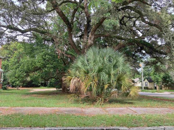 1000 BLK N Palafox, Pensacola, FL 32501