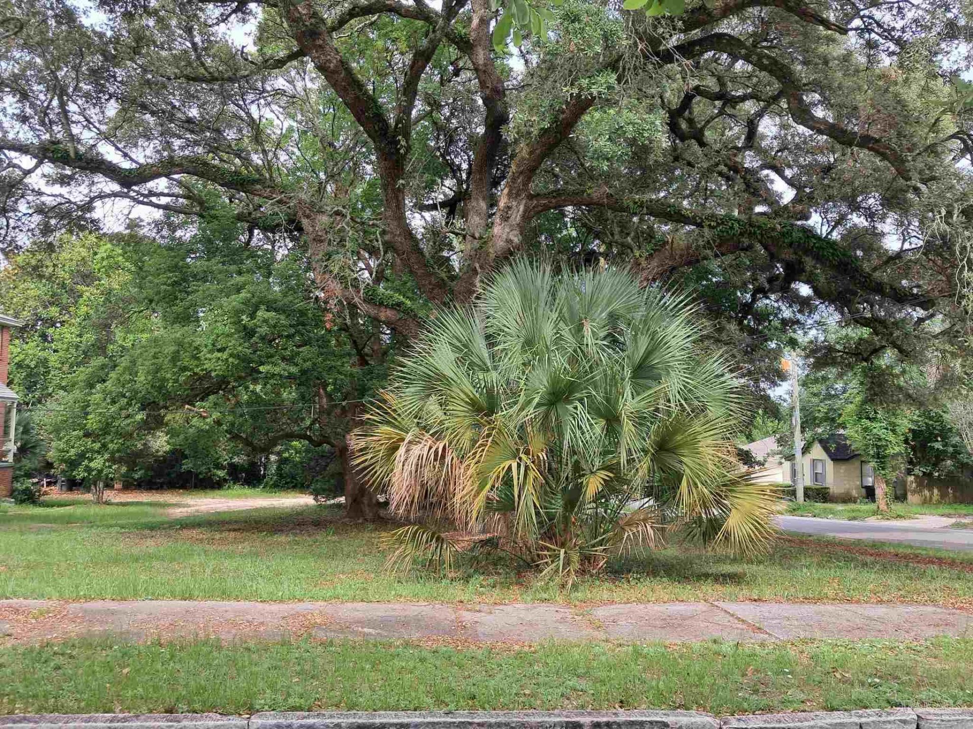 1000 Blk N Palafox, Pensacola, FL 32501 Main Photo