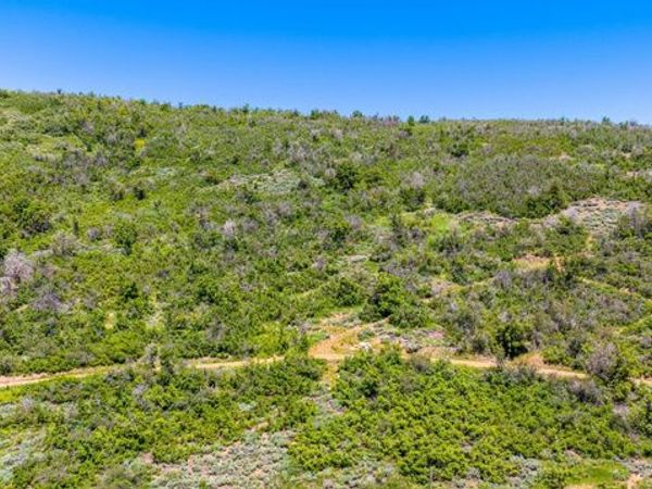 1246 N HILLSIDE DR , Unit 87, Midway, UT 84049