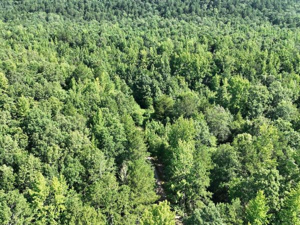 TBD Polk Road 69, Mena, AR 71953