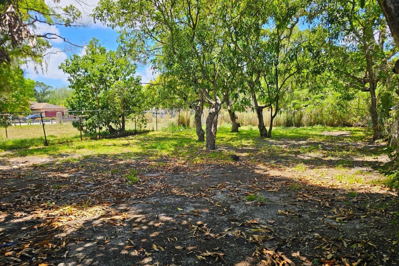 1205 2nd Avenue W, Palmetto, FL 34221 Photo