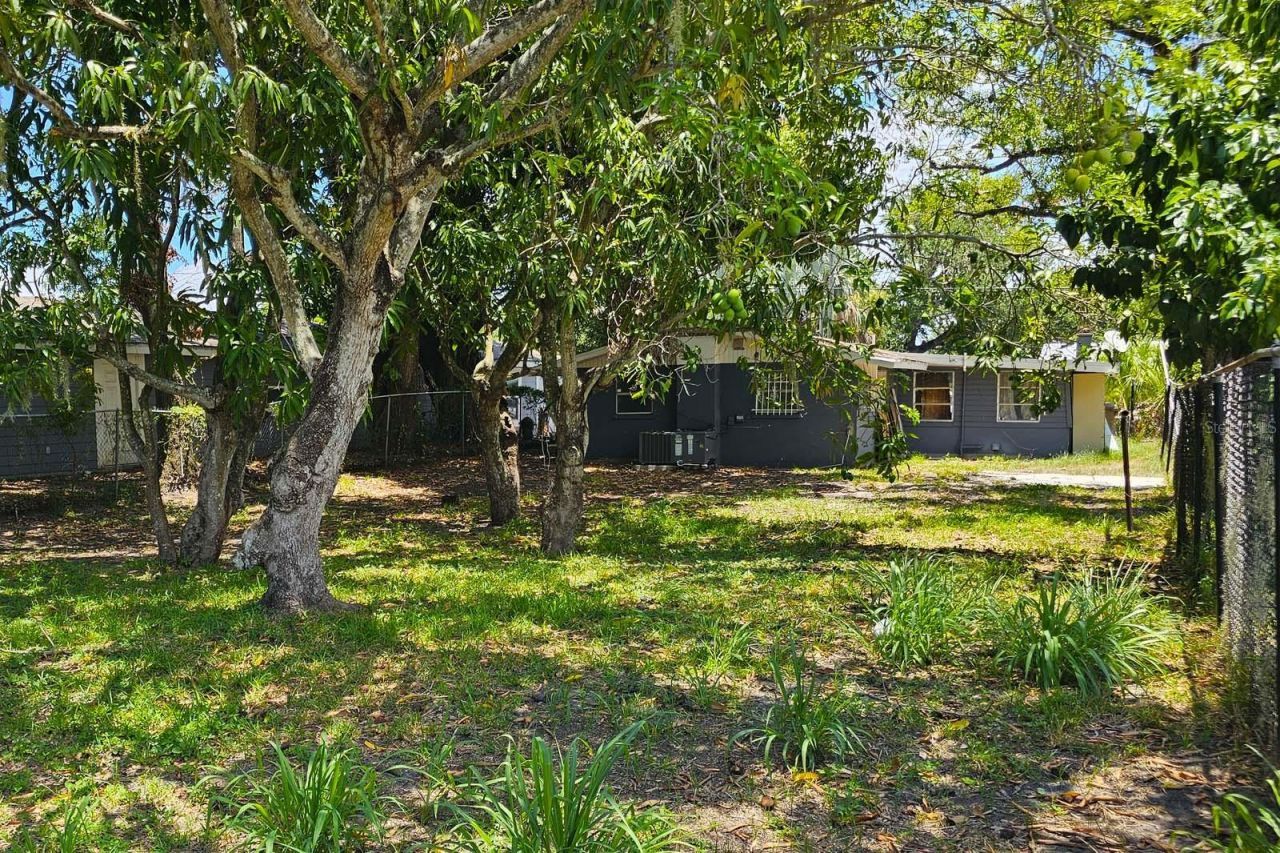 1205 2nd Avenue W, Palmetto, FL 34221 Photo
