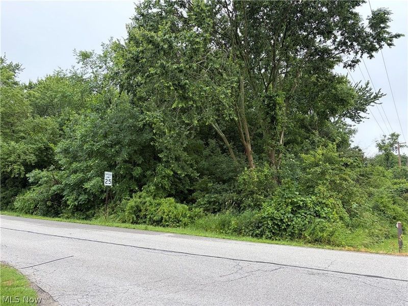 V/L Waverly Avenue, Wadsworth, OH 44281 Photo 2