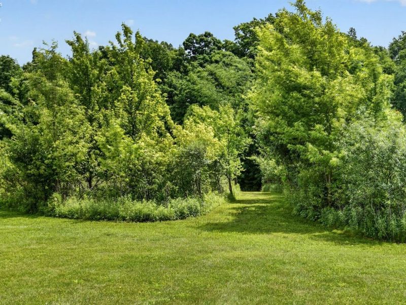 16727 Pitts Road, Wellington, OH 44090 Photo 46