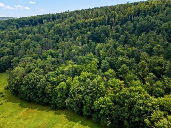 00 Hurricane Road, Unit Backland, Westmoreland, NH 03467