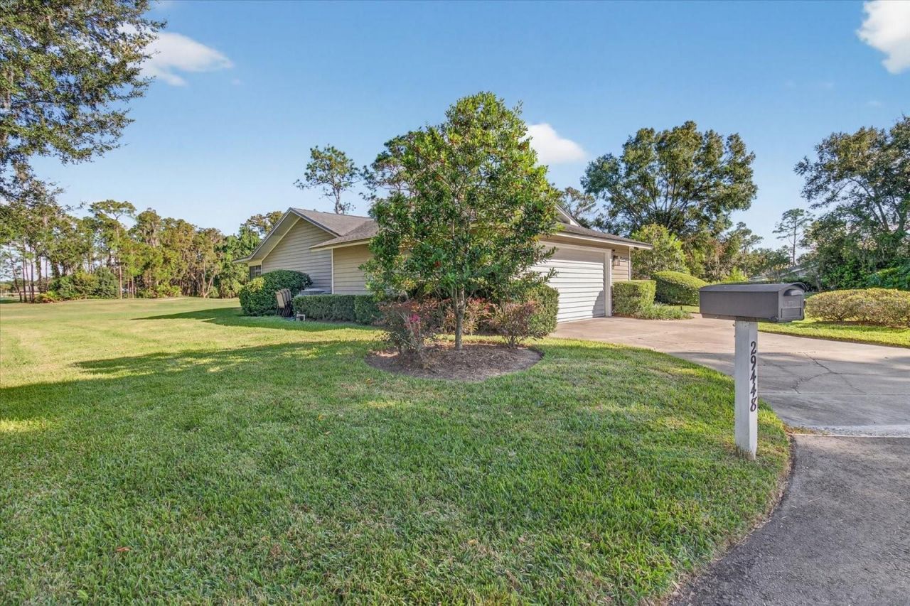 29448 Azalea Lane , Wesley Chapel, FL 33543 Photo