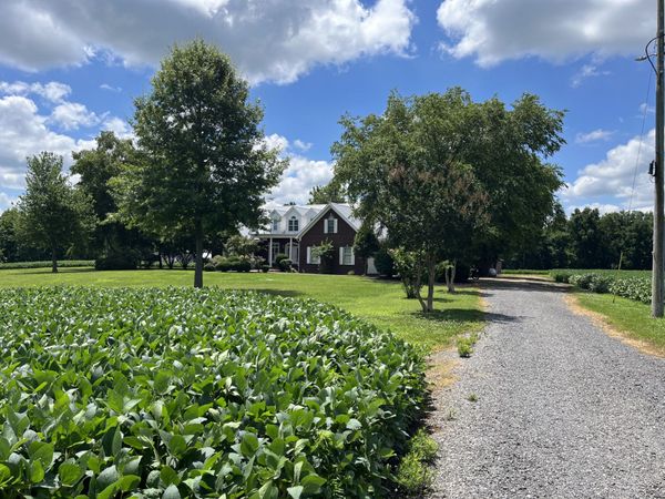 3501 W Highway 21 , Hornbeak, TN 38232