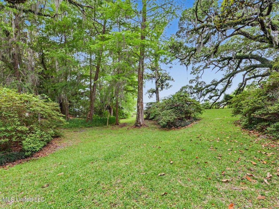 Property Image 43