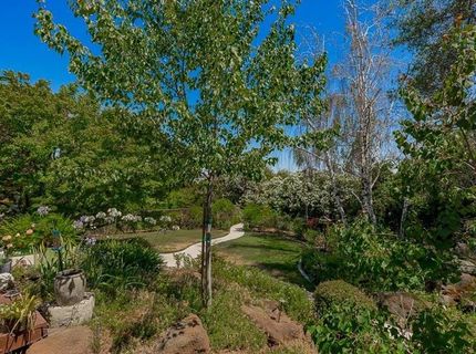 4150 Foxwood Ln, Shingle Springs, CA 95682 Photo
