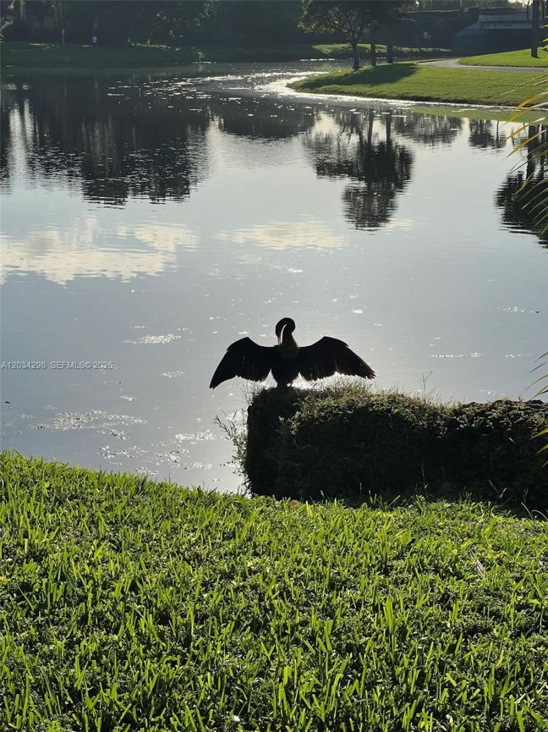 9710 Hammocks Blvd, Unit 204-31, Miami, FL 33196 Photo