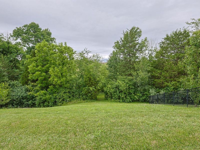 9350 Westfield Lane, Union, KY 41091 Photo 35