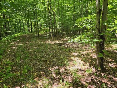 Moose River Road, Port Leyden, NY 13433