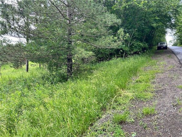 Mary Brown Hill Road , Laurens, NY 13796